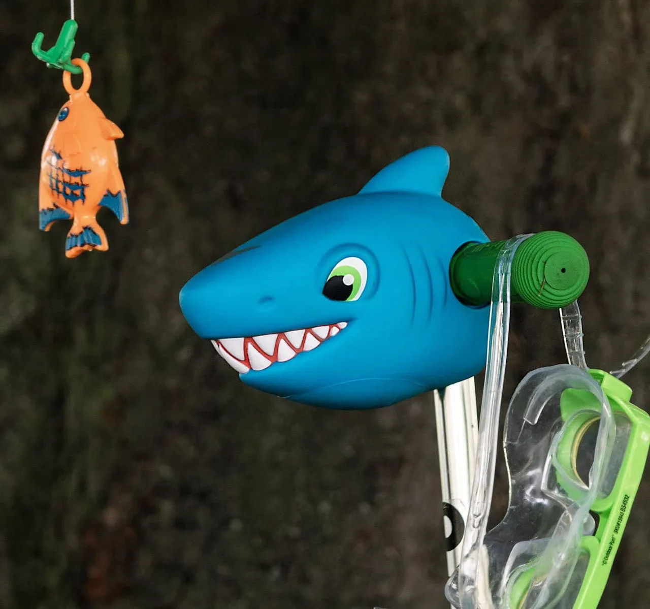 Scooter Head Shark